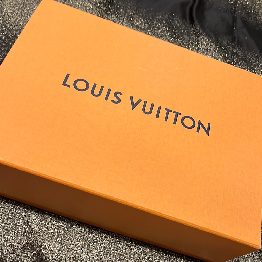 Louis Vuitton Magnetic Bag Box